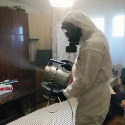 Дезинфекция от клопов в Рудне