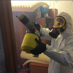 Уничтожение клопов в квартире. Рудня